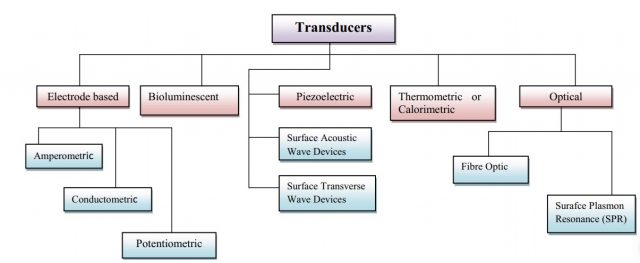 Transducer