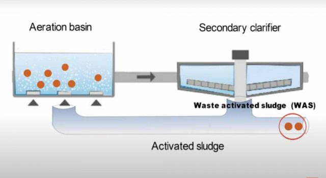 Wastewater treatment