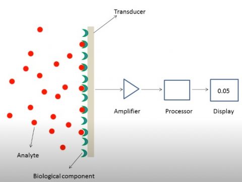 Biosensor