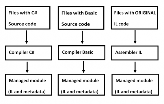 Common Language Runtime