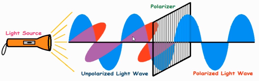 Panel: LCD, LED, OLED, AMOLED, and S-AMOLED