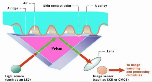 fingerprint scanner