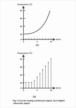 Digital and Analogue Quantities