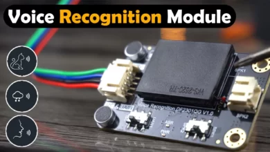 voice recognition module