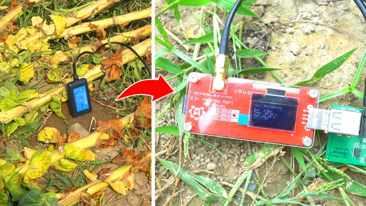 testing tobacco soil ph value using agrosense Soil pH Meter
