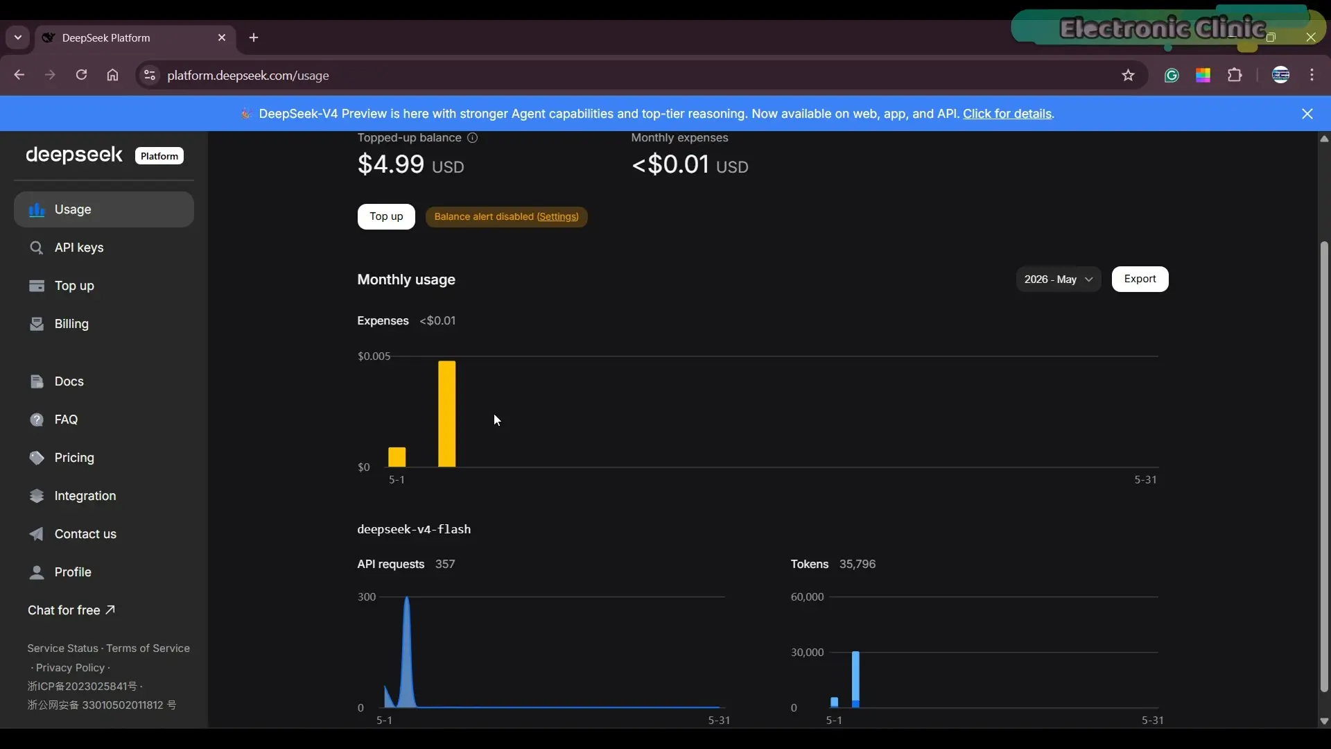 API requests and token analytics for the DeepSeek vision system