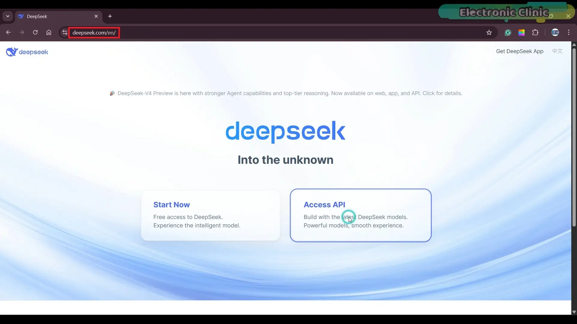DeepSeek official website access API setup for AI projects