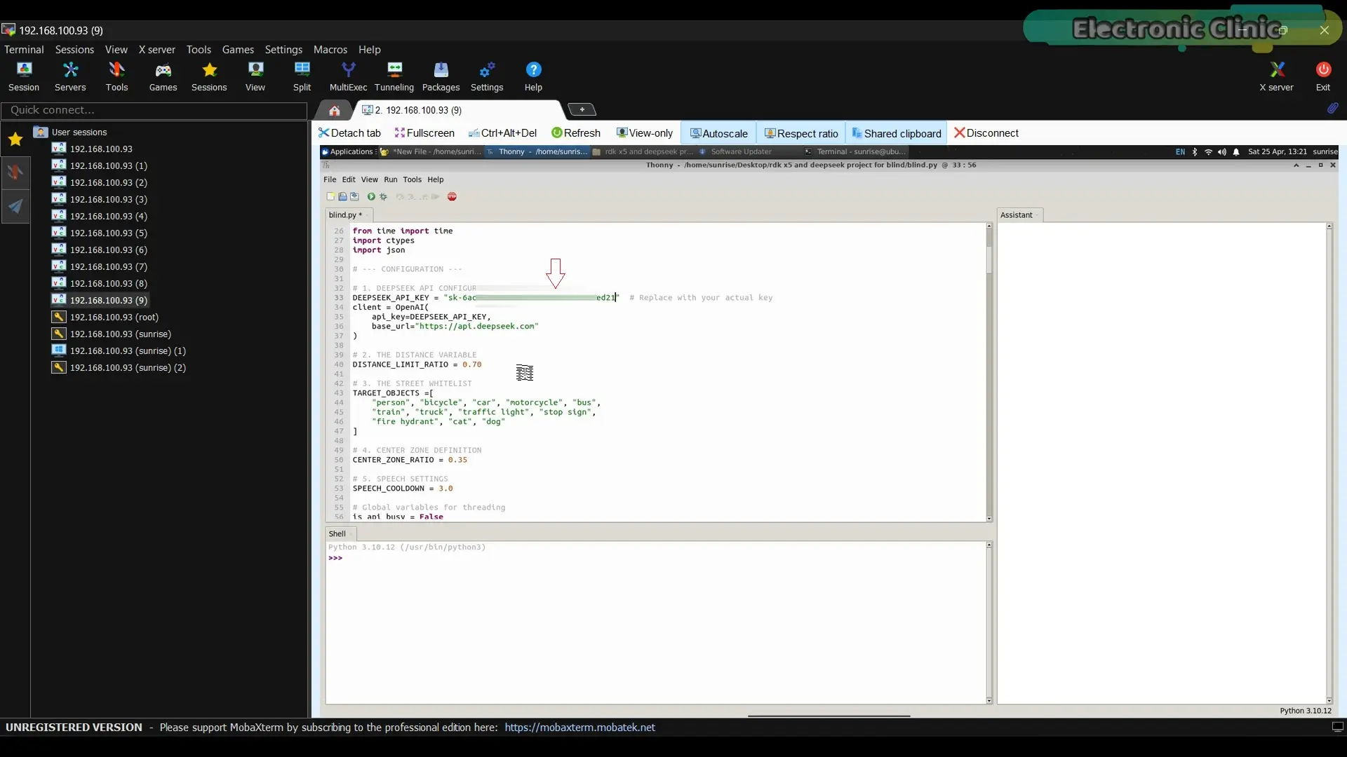 DeepSeek RDK X5 AI assistant Python code integration for real-time vision