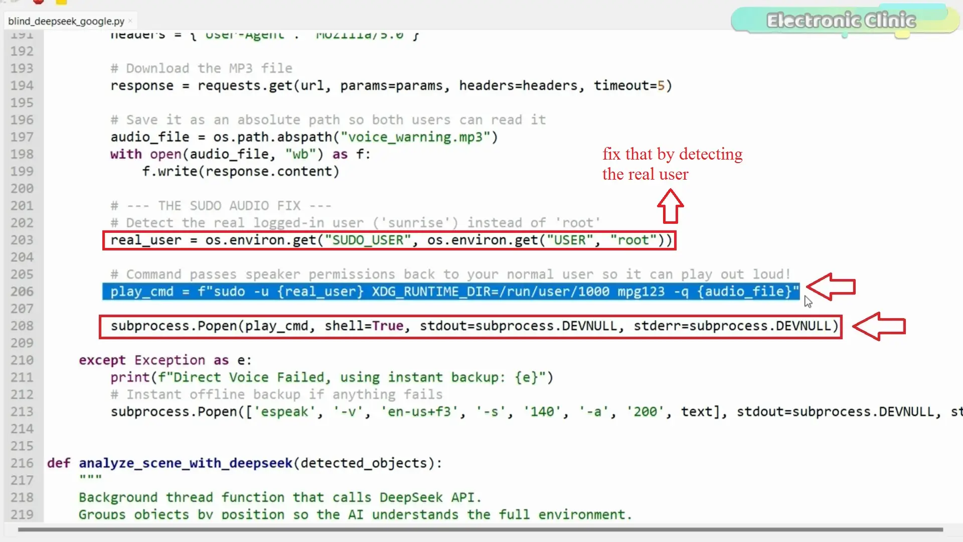 DeepSeek RDK X5 AI assistant Python sudo audio fix logic