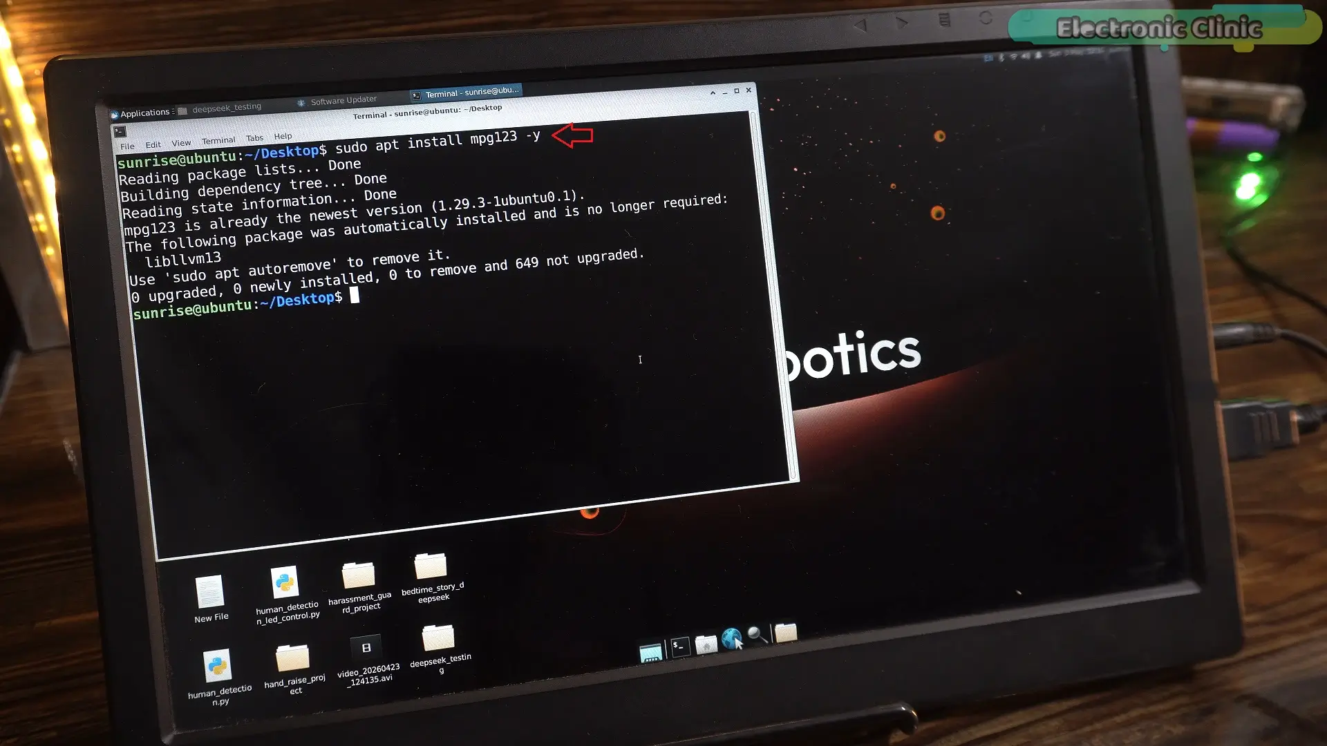 RDK X5 DeepSeek AI assistant mpg123 audio setup for voice output