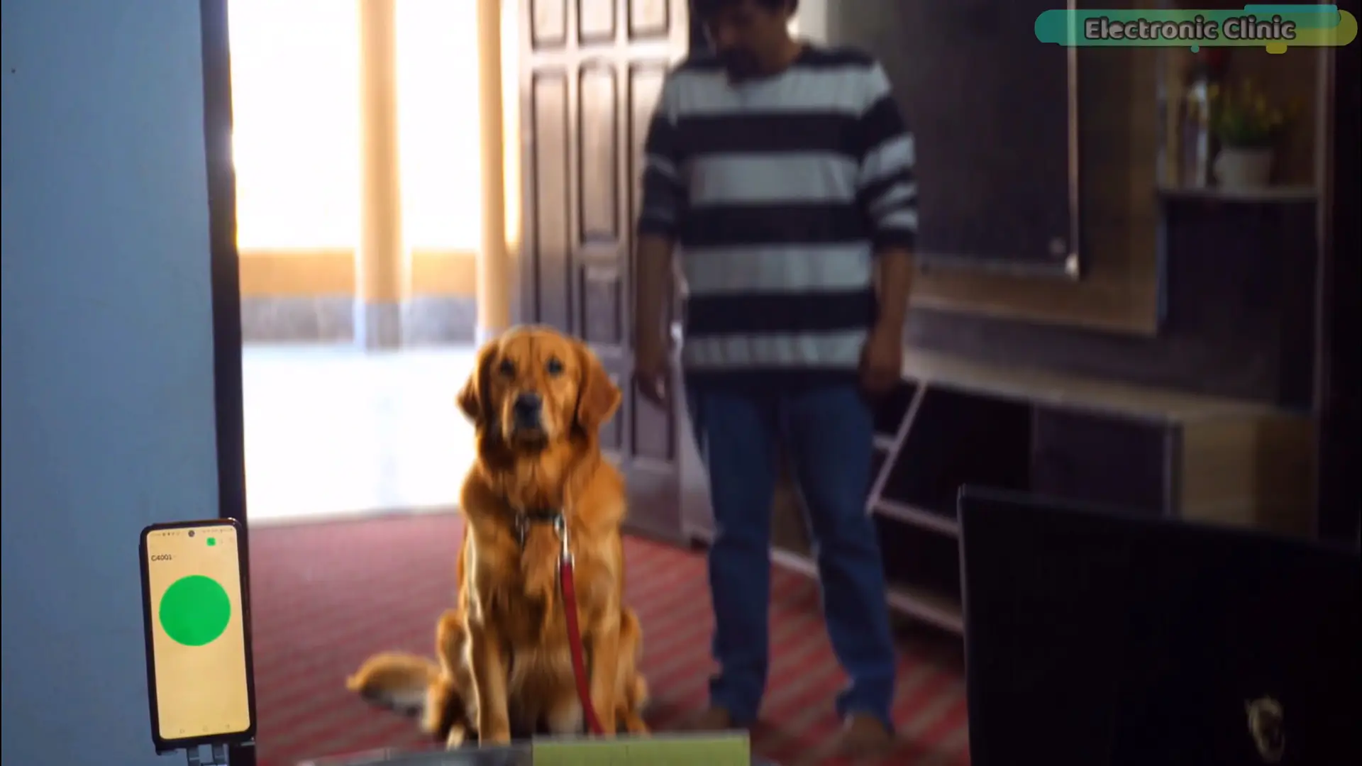 C4001 mmWave radar detecting animals and humans