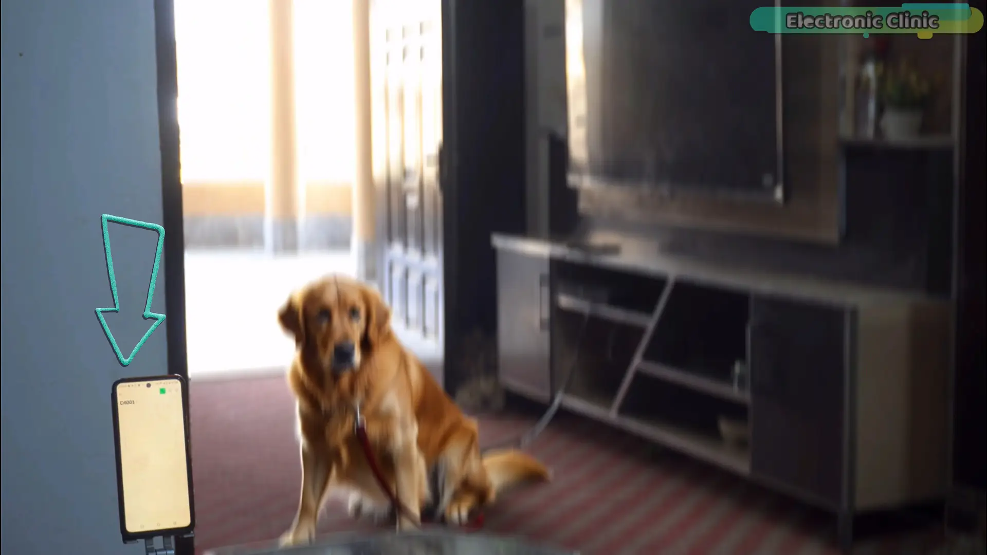 C4001 mmWave radar pet detection test