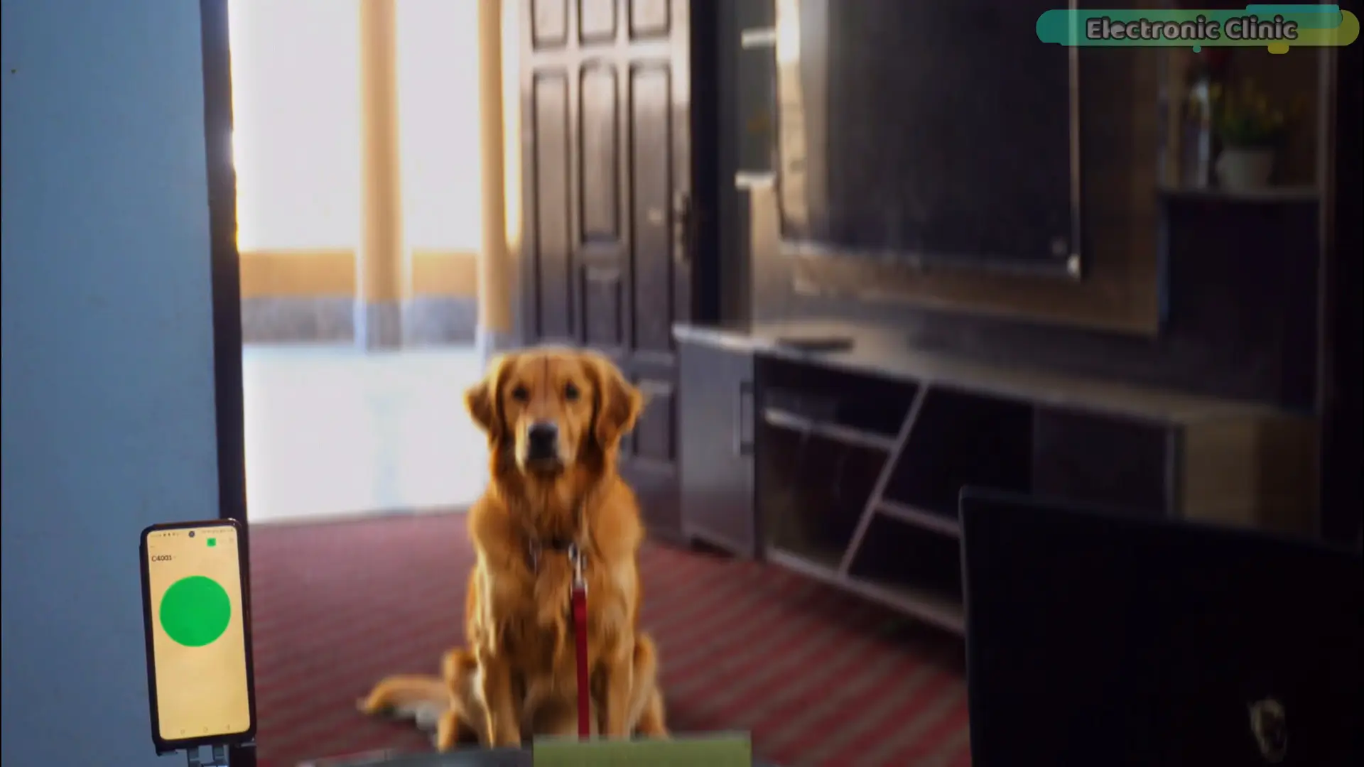 C4001 mmWave sensor detecting a dog