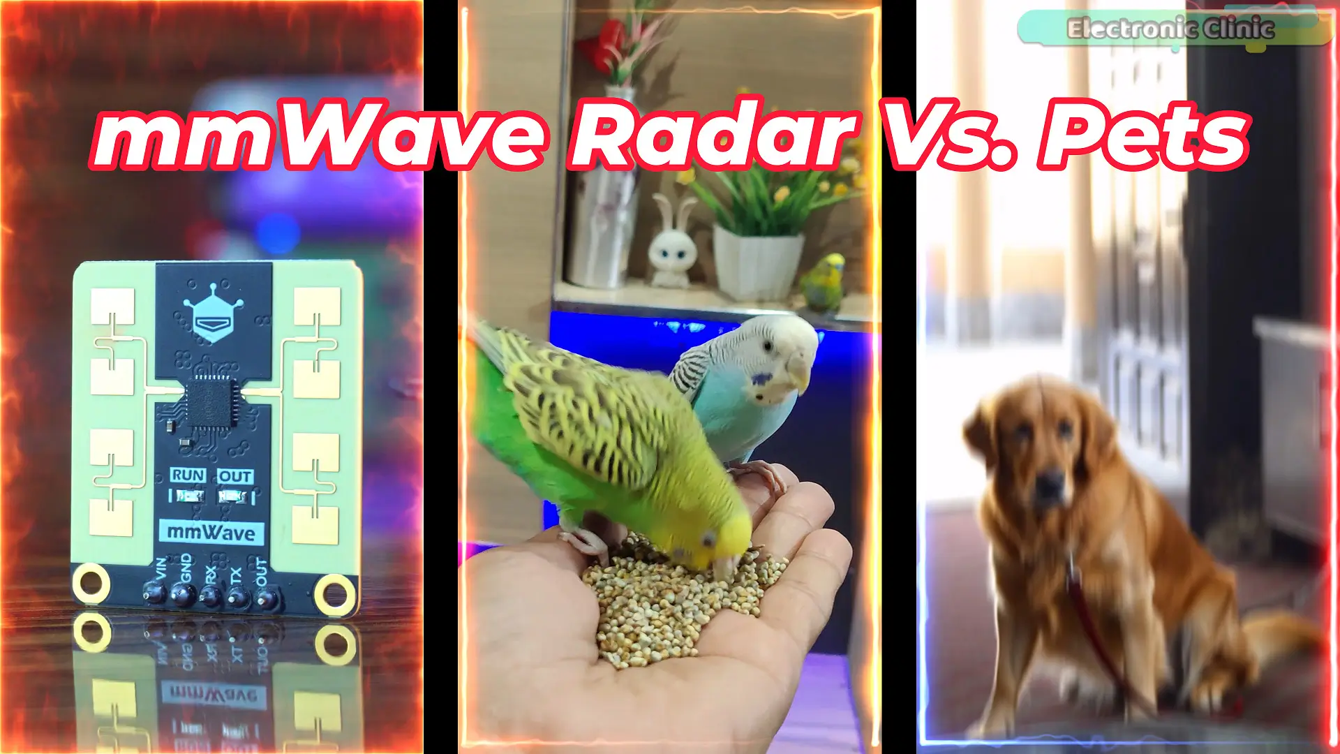 mmWave radar vs pets human and dog detection test